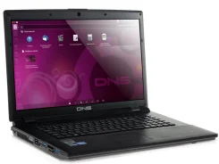 DNS Gamer 0800662. 17.3", 2,4����, ��� 8 ��, ���� 1���, WiFi: 1, Bluetooth: 1, ����������� �� 11��. ����