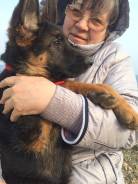 Вахтер.
