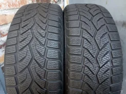 Gislaved Euro Frost 3 Silica. ������, ��� �����, �/�, ����� 30�%