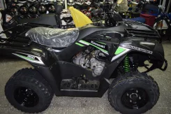 Kawasaki KVF 300. ��������, ���� ���\���, ��� ������� ����
