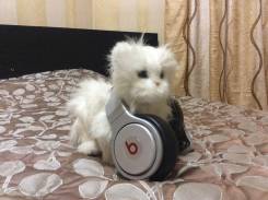 Beats Pro