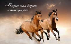 Сертификат на романтическую конную прогулку. Доставка.