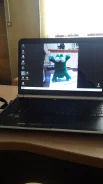 Packard Bell. 15.6", 23,0����, ��� 4 ��, ���� 250���, WiFi, Bluetooth, ����������� �� 2��.