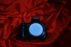 Sony Alpha DSLR-A450 Kit. 10 - 14.9 ��, ���: ��� ���� ����