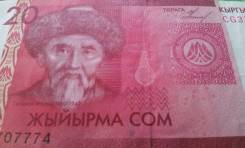 Сом Киргизский.