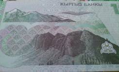 Сом Киргизский.