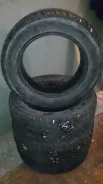 Nokian Hakkapeliitta Q. ������, �/�, ����� 20�% ����