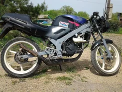 Honda NS 1. 49����. ��., ��������, ���������, ������ �� �� ����