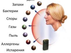 Увлажнители и очистители воздуха.