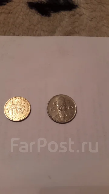 ������ ������ ����