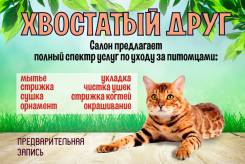 Стрижка котов и кошек