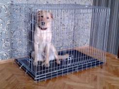 Клетки.