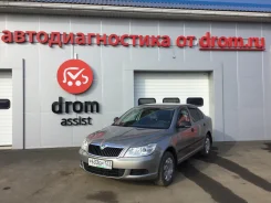 Skoda Octavia. ��������, ��������, 1.6, ������, 81����. �� ����