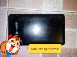 Dexp ����