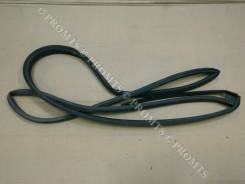 Уплотнитель двери. Honda Civic, FD1, FD2, FD3, DBA-FD2, ABA-FD2, DBA-FD1, FD, ABAFD2, DBAFD1, DBAFD2