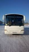 ПАЗ 4230. Продаю Автобус ПАЗ-4203-01(Аврора), 2 400 куб. см., 54 места