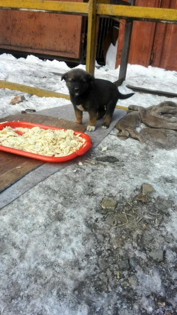 ������. ����