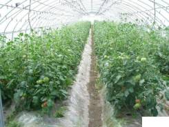 Продам Коттедж 267км. м. на 30сот. С.Михайловка ул.Кобиского 10, р-н Михайловский, площадь дома 267 кв. м., скважина, электричество 30 кВт, отопление...