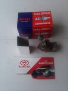 Лампа. Toyota: Windom, Lite Ace, Platz, Aristo, Ipsum, Corolla, MR-S, Altezza, Tundra, Raum, Vista, Echo Verso, Mark II Wagon Blit, Tarago, Vista Arde...