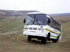 ПАЗ 3206. Автобус -110-60 северный вездеход (4х4) (25 мест), 6 700 куб. см., 25 мест