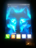 LG Optimus L5. �/�