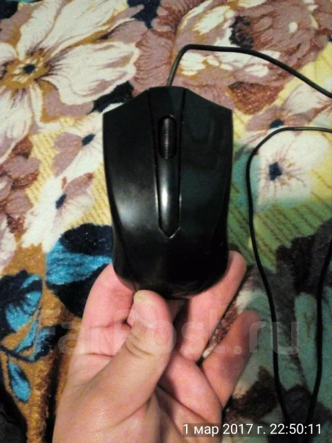 Digma Optima ����