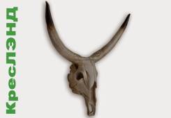 Череп Коровы. Размер: 50Х45Х9,5 см.