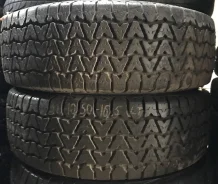 Kelly Safari SJR. �����������, �/�, ����� 10 % ����