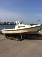 Yamaha F-22. 1995 ���, ����� 7��., ��������� ���������, 85��.�., ������ ����