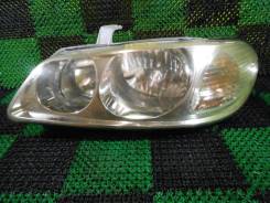 Фара. Nissan Bluebird Sylphy, QNG10, QG10, TG10, FG10 Nissan Sylphy