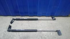 Амортизатор крышки багажника. Infiniti FX35, S50 Infiniti FX45, S50 Двигатели: VQ35DE, VK45DE