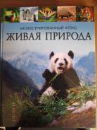 Атласы, контурные карты.