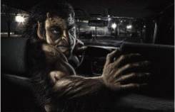 Наклейка. Audi: A8, A5, A3, Q7, A4, Q5, A6 Honda: Domani, Crossroad, CR-V, Fit Shuttle, Logo, Stepwgn, Accord, Civic, Orthia, Jazz, Insight, Airwave...