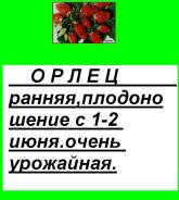 Клубника. Под заказ
