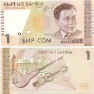 Сом Киргизский.