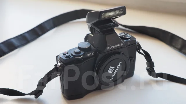 Olympus OM-D E-M5. 15 - 19.9 ��, ���: ��� ���� ����