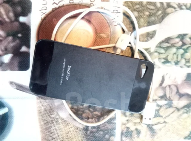Apple iPod touch 5. ����