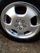 Tailong. x15", 5x100.00