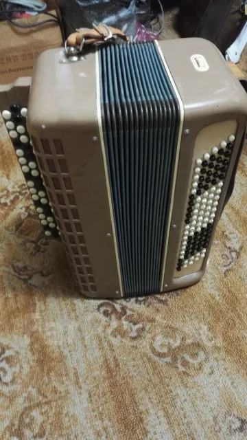 �����. ����