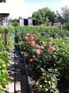 Продам дачу. От частного лица (собственник)