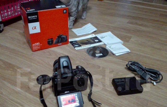 Sony Alpha DSLR-A580 Kit. 15 - 19.9 ��, ���: 14� � ����� ����