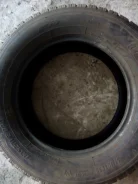 Toyo Observe. ������, 2015 ���, 10�%, 3 ��