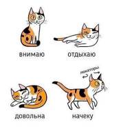 Гостиницы для животных.