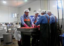 Рыбообработчик. ООО "Спутник-ДВ"
