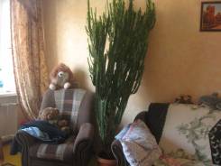Кактус.