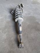 Амортизатор. Audi A4, 8E2, 8E5, 8EC, 8ED Audi S4, 8E2, 8E5, 8EC, 8ED Двигатели: AKE, ALT, ALZ, AMB, AMM, ASB, ASN, AUK, AVB, AVF, AVJ, AVK, AWA, AWX...