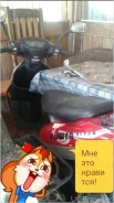 Meiduo MD50QT. 50����. ��., ��������, ���, ��� �������. ��� ����� �� �������� ����