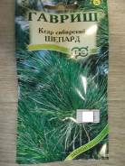 Кедр.