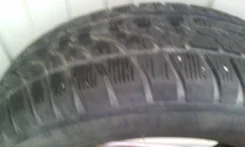 Dunlop SP Winter Response. ������, ��� �����, 30�%, 1 ��