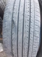 Clear HP 166. ������, 2015 ���, 50�%, 2 ��